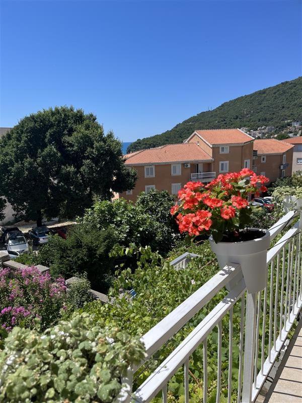 Apartmani Neda Bane Petrovac Εξωτερικό φωτογραφία