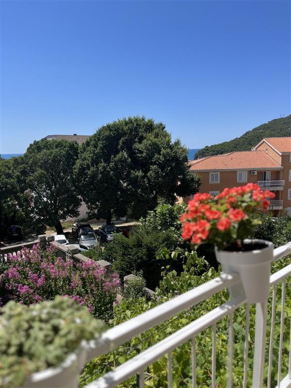 Apartmani Neda Bane Petrovac Εξωτερικό φωτογραφία