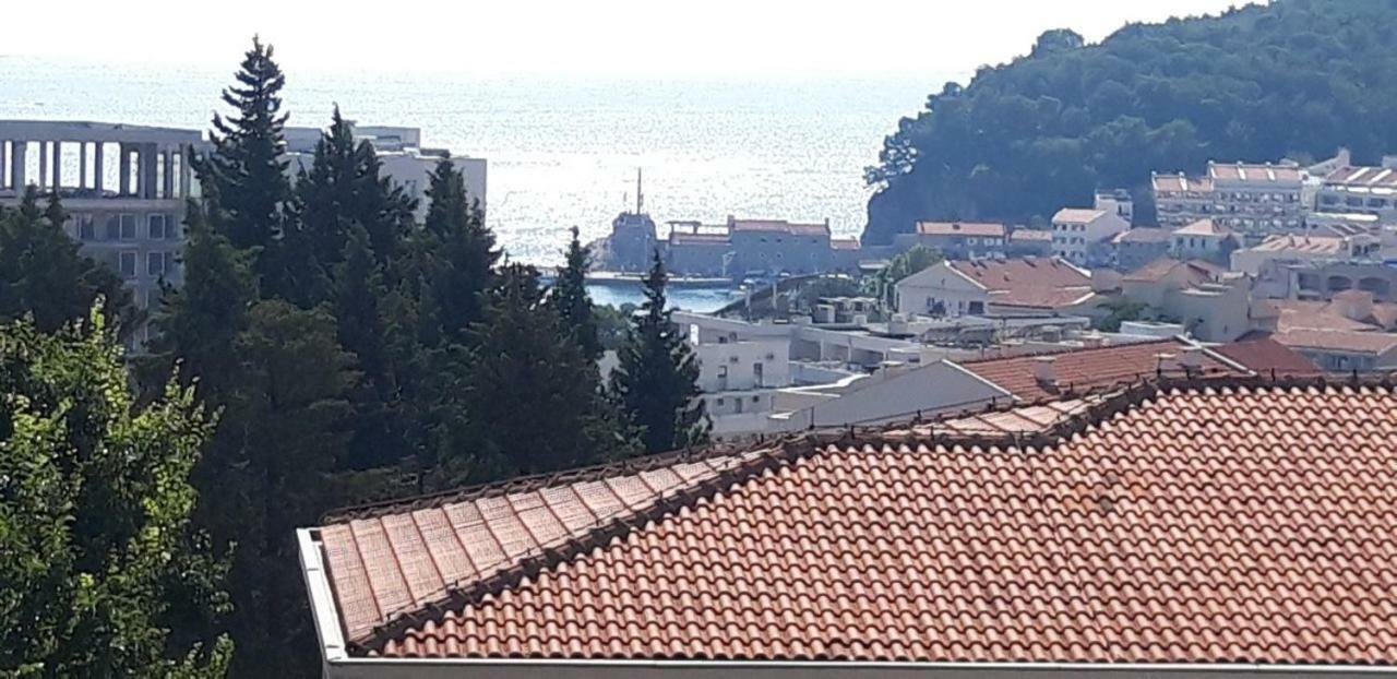 Apartmani Neda Bane Petrovac Εξωτερικό φωτογραφία